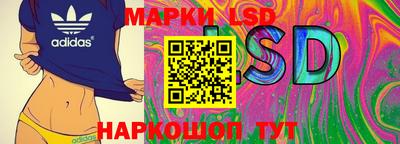 эйфоретик Моздок